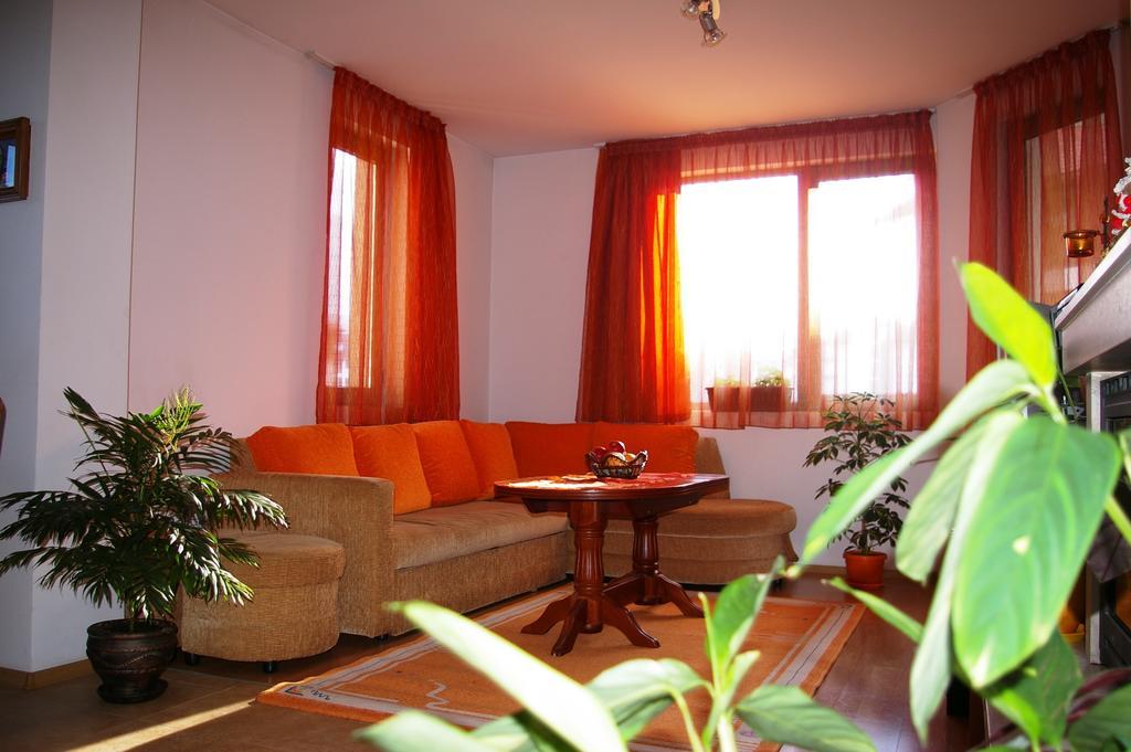 Nevena Apartments Bansko Rum bild